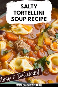 a close up of a bowl of soup with pasta and vegetables