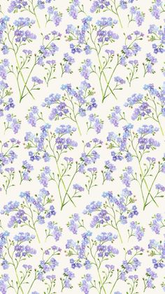 purple and blue flowers on a white background