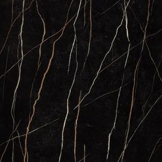 black marble with thin branches on it