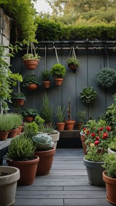 many potted plants are lined up on the wall in front of a wooden deck