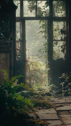 an open window with plants in the foreground and light coming through it on a rainy day