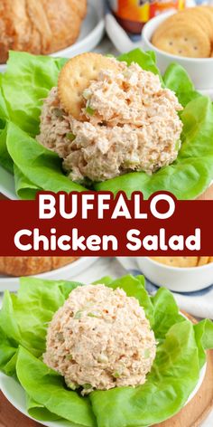 chicken salad with lettuce and cheese on top