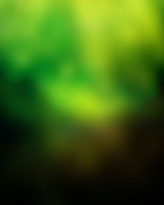 blurry image of green and yellow colors in the background, with only one object visible