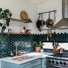 a kitchen with blue cabinets and green hexagonal tile backsplash, potted plants on the stove