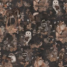 an animal themed wallpaper with many different types of animals and leaves on black background