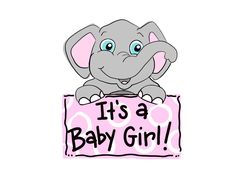 an elephant holding a sign that says it's a baby girl