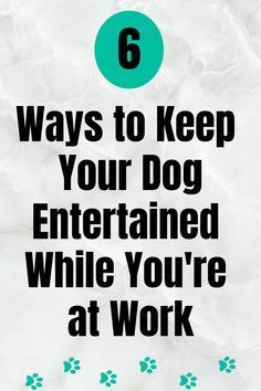 a poster with the words 6 ways to keep your dog entertained while you're at work