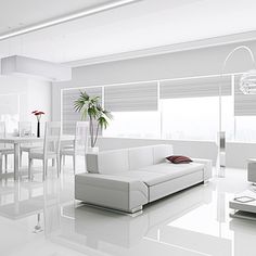 a white living room filled with furniture and a plant in the middle of the room