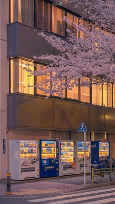 a street scene with focus on the vending machines and cherry blossoms in full bloom