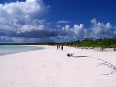 two people are walking on the beach near some water and palm trees in the distance