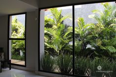 there is a large window with plants in it