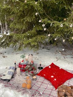 a picnic blanket with food on it in the snow next to a tree and pine branches