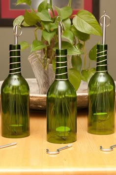 three green bottles sitting on top of a wooden table next to a potted plant