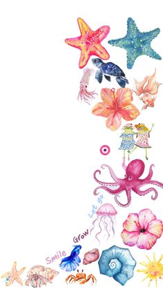 watercolor drawing of sea animals and starfish