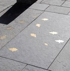 leaves on the ground next to a fire hydrant