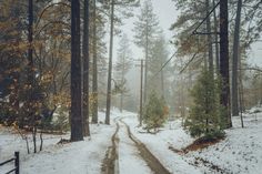 a snow covered road in the middle of a forest