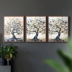 three paintings hang on the wall above a potted plant in front of a grey wall