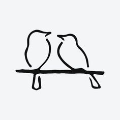 two birds sitting on top of a tree branch