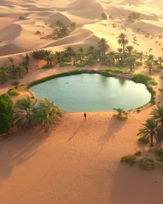 an aerial view of a small lake surrounded by sand dunes and palm trees in the desert