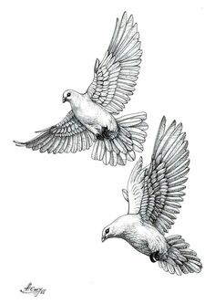 two birds flying in the air with their wings spread out and one bird has it's wings