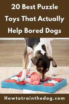 a dog playing with toys on the floor in front of a rug that says 20 best puzzle toys that actually help bored dogs