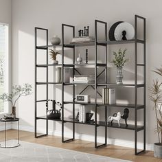 a living room with a book shelf and potted plants on the floor in front of it