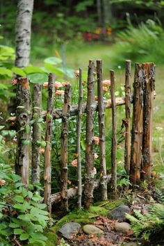 a wooden fence with moss growing on the ground and rocks in front of it, surrounded by trees