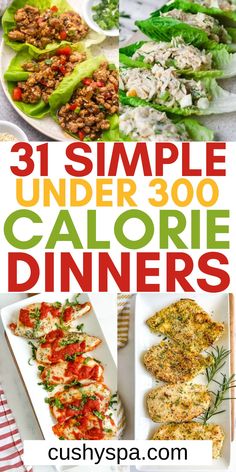 31 simple under 300 calorie dinners