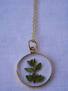 a necklace with a small plant in it