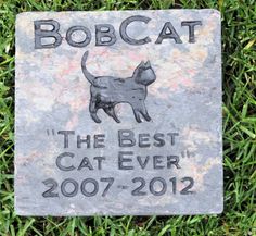 a memorial stone for bobcat the best cat ever