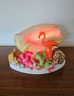 a flamingo is sitting on top of a shell with corals and shells around it