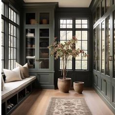 a room that has some plants in the window sill and a rug on the floor