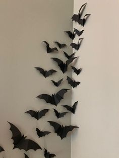 a group of bats hanging from the side of a wall in front of a white wall