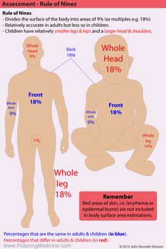 an info sheet with different types of human body parts