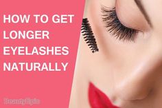 Eyeshadow Basics, Prom Makeup Looks, Best Eyeshadow, Winter Makeup, Longer Eyelashes, Long Lashes, Matte Liquid Lipstick