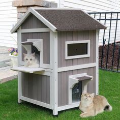 two cats are sitting in the outside of a cat house and one is laying on the grass