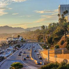 cars are driving down the highway in front of palm trees and tall buildings with mountains in the background