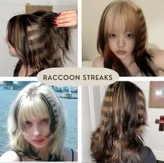 Racoon Tail Hair, Racoon Hair, Calico Hair, Hair Stripes, Funky Hair, Cherry Hair, Unique Hair