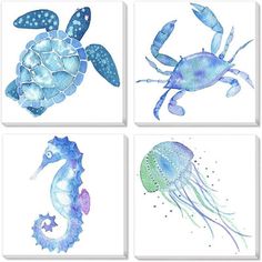 four watercolor paintings of sea animals