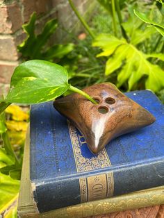 a book with a plant growing out of it