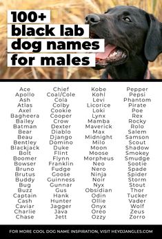 a black lab dog names list with his name in front of it and the words, 100