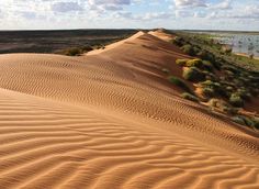 sand dunes with trees and water in the distance