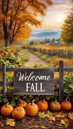 the welcome fall sign is surrounded by pumpkins and autumn leaves, with a country road in the background