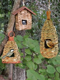 three bird houses hanging from a tree in the woods