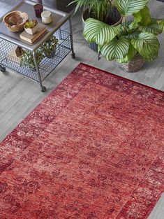 a red area rug in a living room with potted plants on the side table