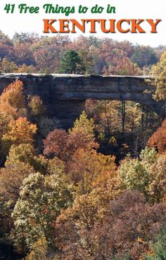 a bridge over a river surrounded by trees with the words 4 free things to do in kentucky