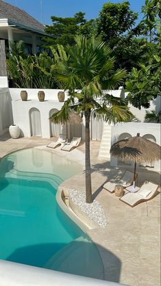 an outdoor swimming pool with lounge chairs and palm trees