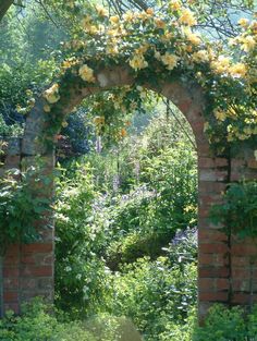 an arch in the middle of a garden with yellow flowers growing on it's sides