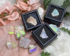 Glass Gemstone Crystal Case Crazy Thoughts, Crystal Store, Metaphysical Store, Crystals Store, Rock Gifts, Crystal Power, Crystal Display, Metal Display, Cleansing Crystals