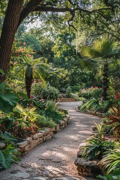 a garden with lots of plants and trees